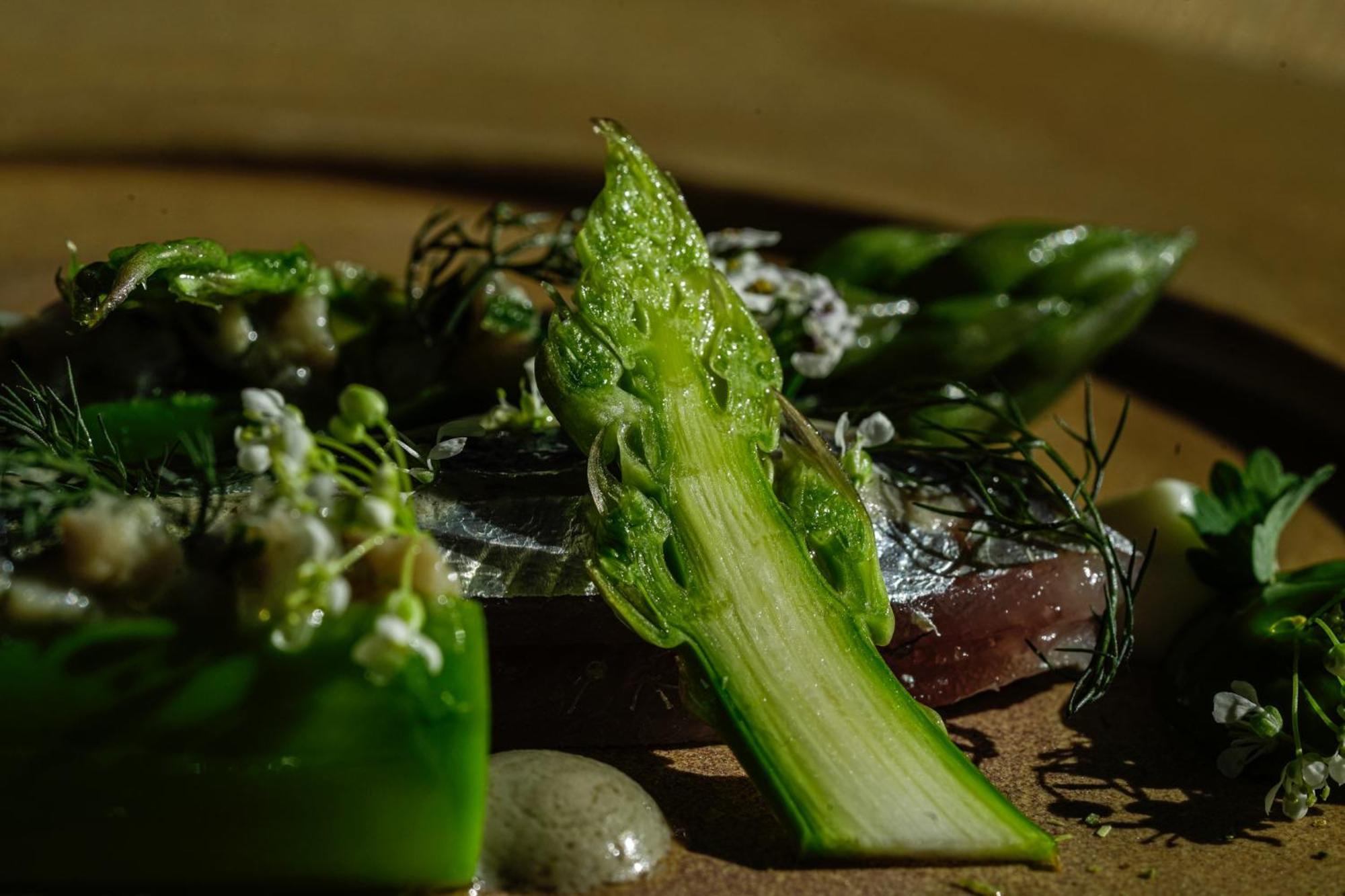 Thalazur Bandol Ile Rousse - Hotel & Spa Luaran gambar